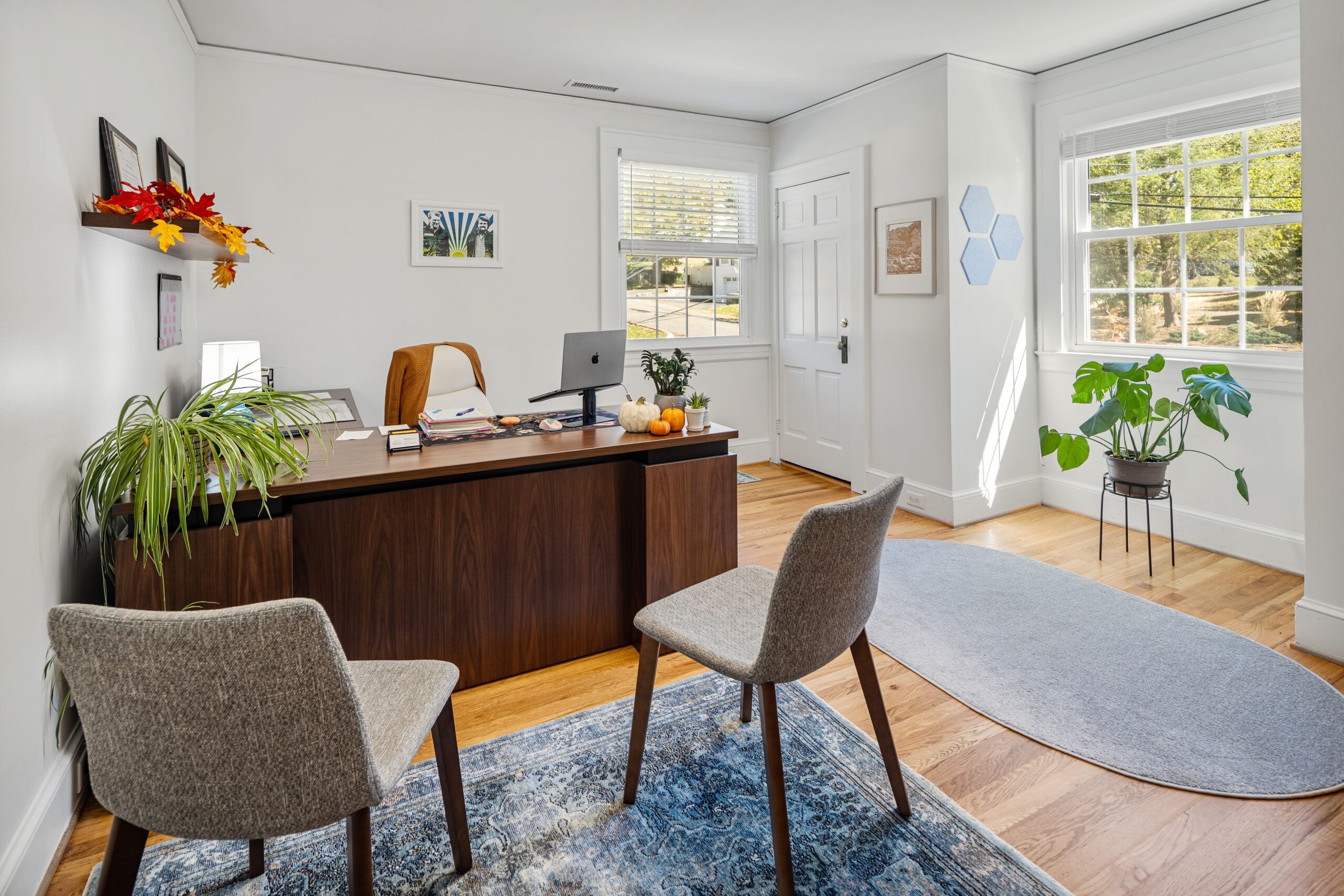 Office with table and 2 chairs and plants Office with table and 2 chairs and plants